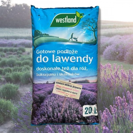 nawoz-ziemia-do-lawendy-westland