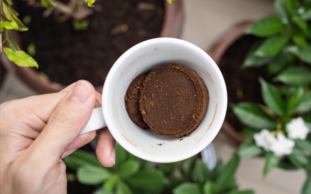 Fusy z kawy na kompost – Czy to dobry pomysł?