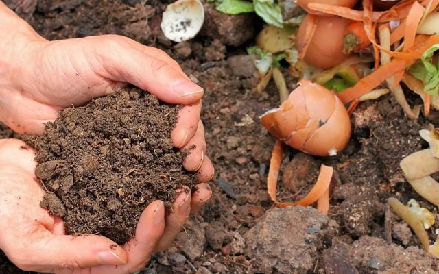 Doły Kompostowe: Zrównoważona Metoda Kompostowania na Twoim Podwórku