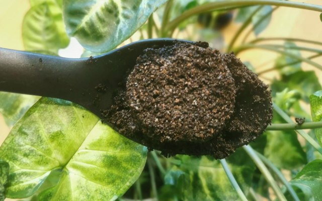Wykorzystanie Fusów z Kawy jako Skutecznego Nawozu dla Twoich Roślin