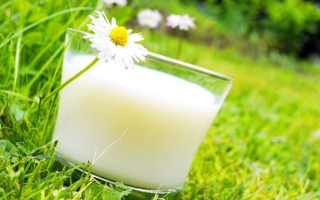 Nawożenie Roślin Mlekiem: Czy To Prawda, Że Mleko Wspomaga Wzrost Roślin?