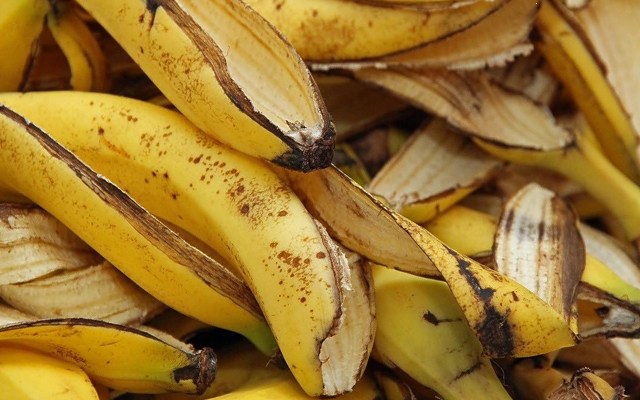 Nawóz z Skórek Bananów dla Roślin: Czy To Naturalny Sposób na Ich Zdrowy Wzrost?