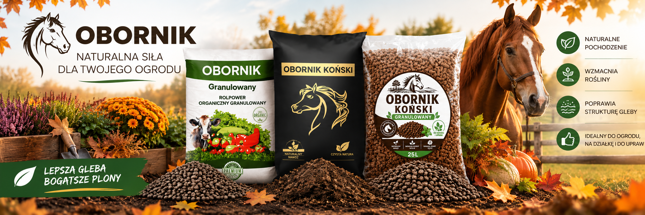 OBORNIKI JESIEŃ