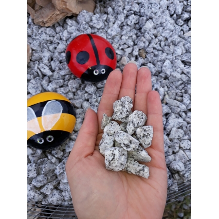 Grys Granitowy Dalmatyńczyk 16-22mm kamień do ogrodu kruszywa gawlik