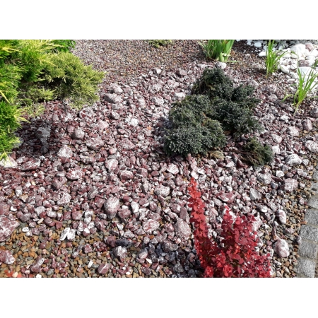 Otoczak Atlas Cherry 2-4cm kamień do ogrodu kruszywa gawlik