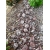 kamienie-ogrodowe-otoczak-atlas-cherry