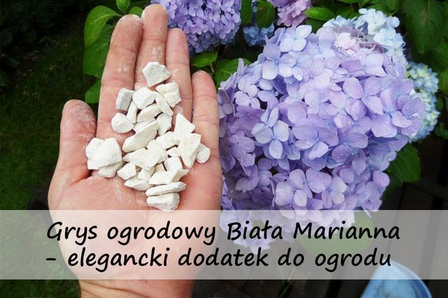 Grys ogrodowy Biała Marianna - elegancki dodatek do ogrodu