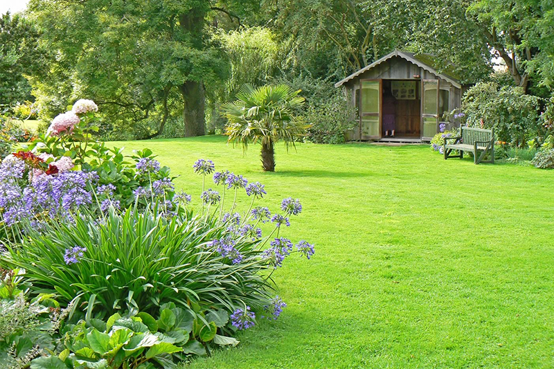 Zielony trawnik - 8 cennych wskazówek jak zadbać o piękną i zdrową trawę w ogrodzie