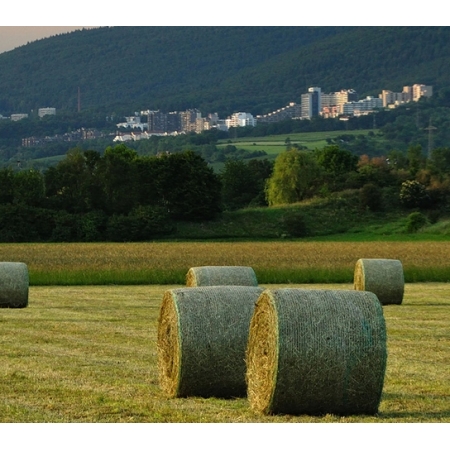 siano-sklep-internetowy-dla-krolika