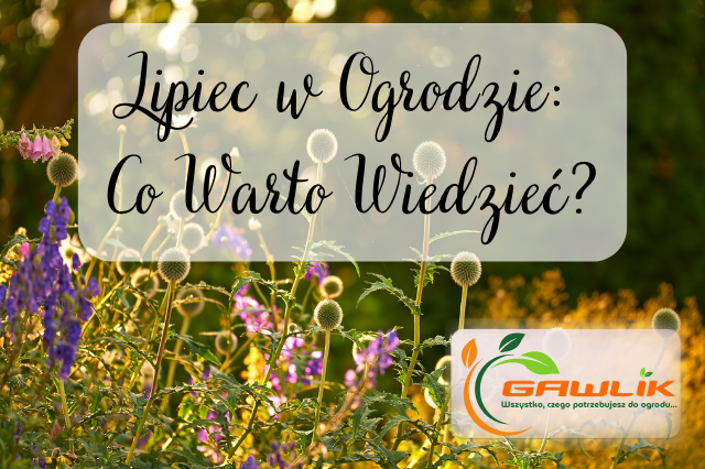 Lipiec w Ogrodzie: Co Warto Wiedzieć?