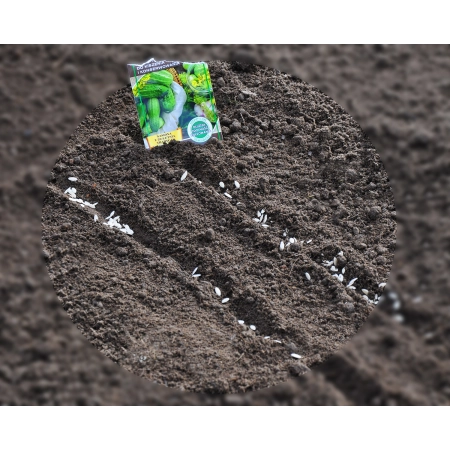 ziemia-z-nawozem-przesiewana-transportziemia-pod-warzywa
