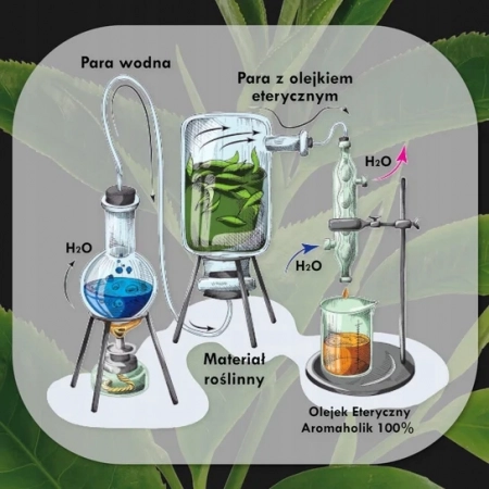 olejek-eteryczny-sauna-olejek