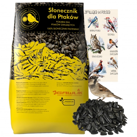 Słonecznik czarny karma dla ptaków