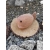 dekoracja-z-kamienia-do-ogrodu-ryba